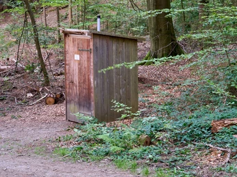 Waldbühne Leupoldishain - Biotoilette Holztoilette im Wald neben einem Pfad, umgeben von Bäumen und Büschen.