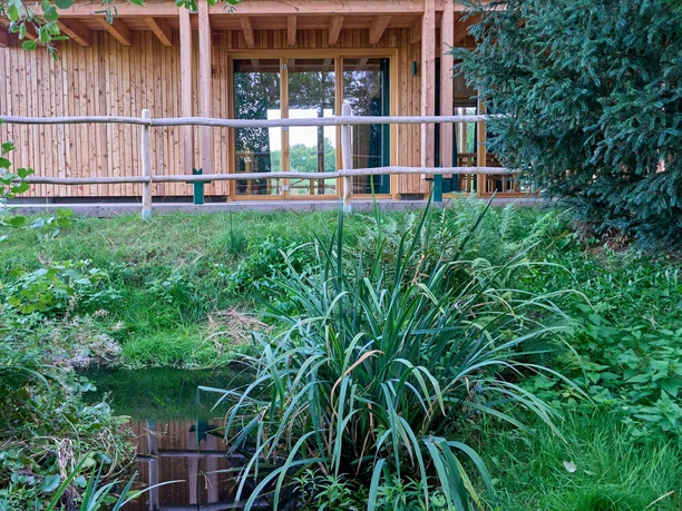 Wooden house with large windows surrounded by green areas and a small pond.