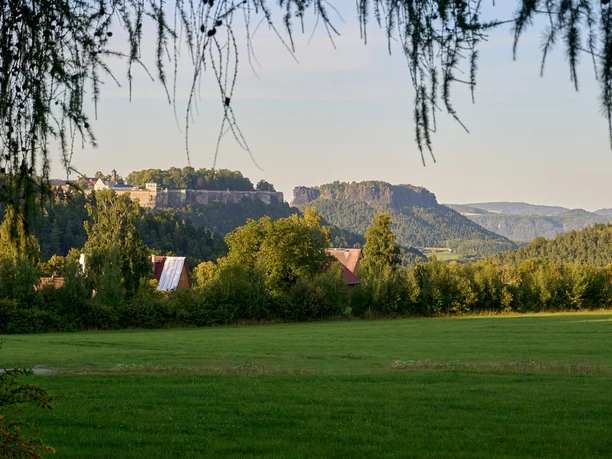 Blick vom Walderlebniszentrum auf Lilienstein und Festung Königstein Blick vom Walderlebniszentrum auf Lilienstein und Festung Königstein, Vordergrund Wiese, Mittelgrund Bäume und Dächer.