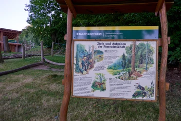 Walderlebniszentrum Informationsstele über Forstwirtschaft mit Text und Illustrationen.