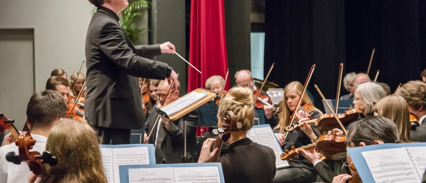 2015_03_22D80_0337.jpg Das Sinfonieorchester der Musikschule gehört zu den herausragenden Klangkörpern der Region.