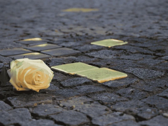 Das Bild zeigt ein paar Stolpersteine mit einer weißen Rose.