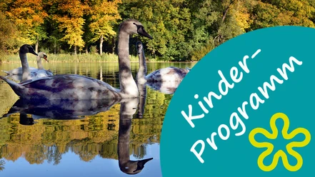 Familienprogramm_Kinderprogramm_Ferien_Paderborner-Land_Herbst