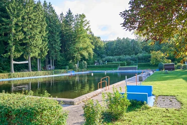 Waldbad Polenz Waldschwimmbad umgebenden Bäumen bei Sonnenschein.