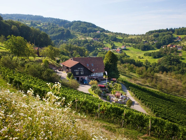 Schlafen im Weinfass