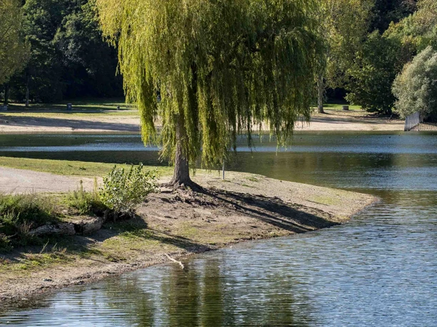 Lake Fühlingen Pasture on Fühlinger See with clear water and wooded surroundings.