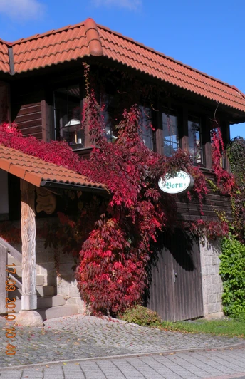 Pension Born in Elbingerode - Außenansicht Pension Born in Elbingerode - Außenansicht
