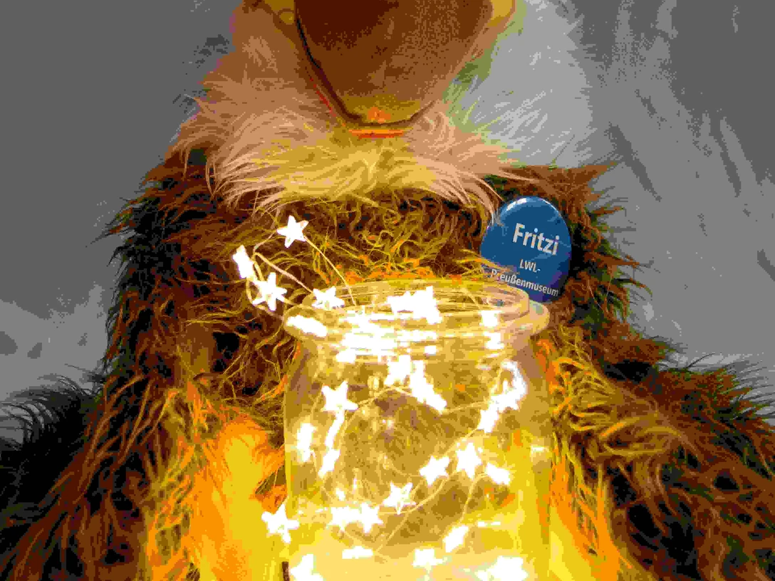 MM_Winter-Fritzi_LWL_Kambartel-14.jpg Auf dem Bild ist ein Plüschtier mit Lichterketter abgebildet