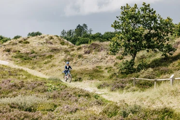 Nordfriesland_Süderlügum_ Fahrrad Fahren