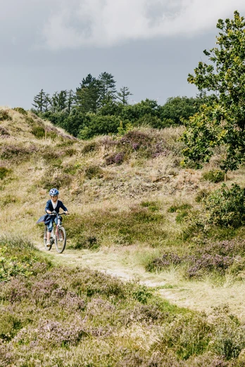 Nordfriesland_Süderlügum_ Fahrrad Fahren