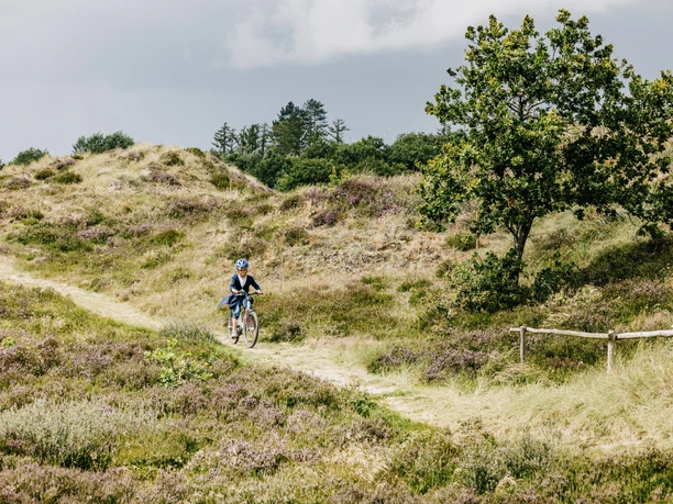 Nordfriesland_Süderlügum_ Fahrrad Fahren