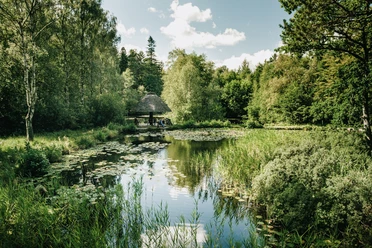Nordfriesland_Leck_ Falknerei Leck