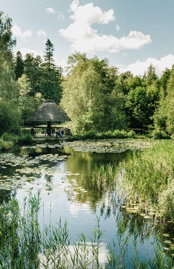 Nordfriesland_Leck_ Falknerei Leck