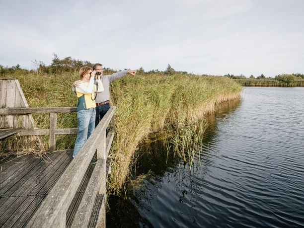 Gotteskoogsee Vogelbeobachtung