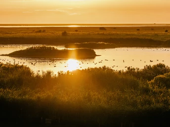 Nordfriesland_Hattstedtermarsch_