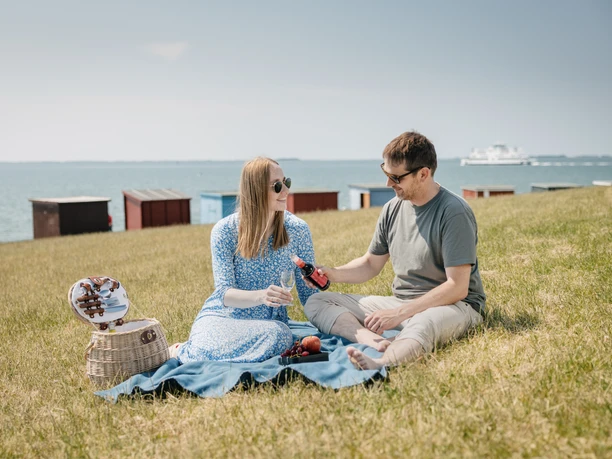 Dagebüll Deich Picknick