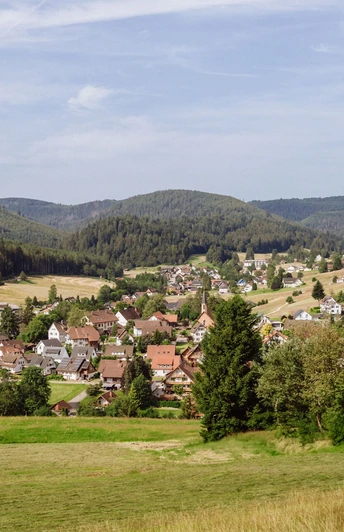 Blick auf Obertal von der Panoramaschaukel
