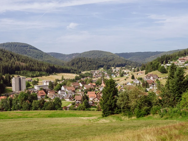 Blick auf Obertal von der Panoramaschaukel