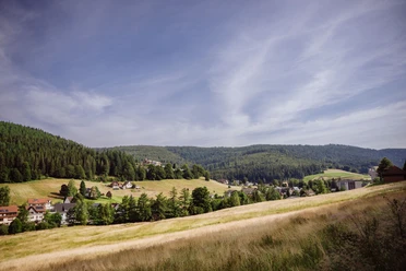 Blick auf Obertal
