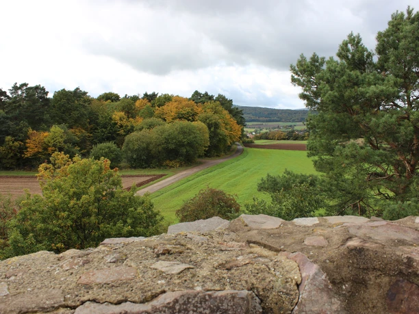 Aussicht von der Braunauer Warte