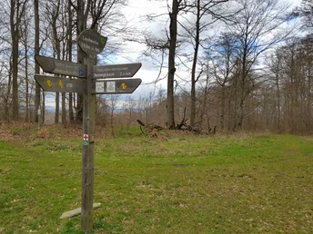 Kreuzung an der Locheiche