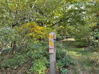 Traddelkopf-Locheichen-Route