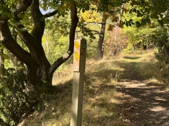 Locheichen-Traddelkopf-Route