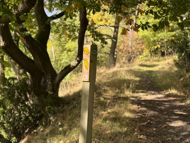 Locheichen-Traddelkopf-Route