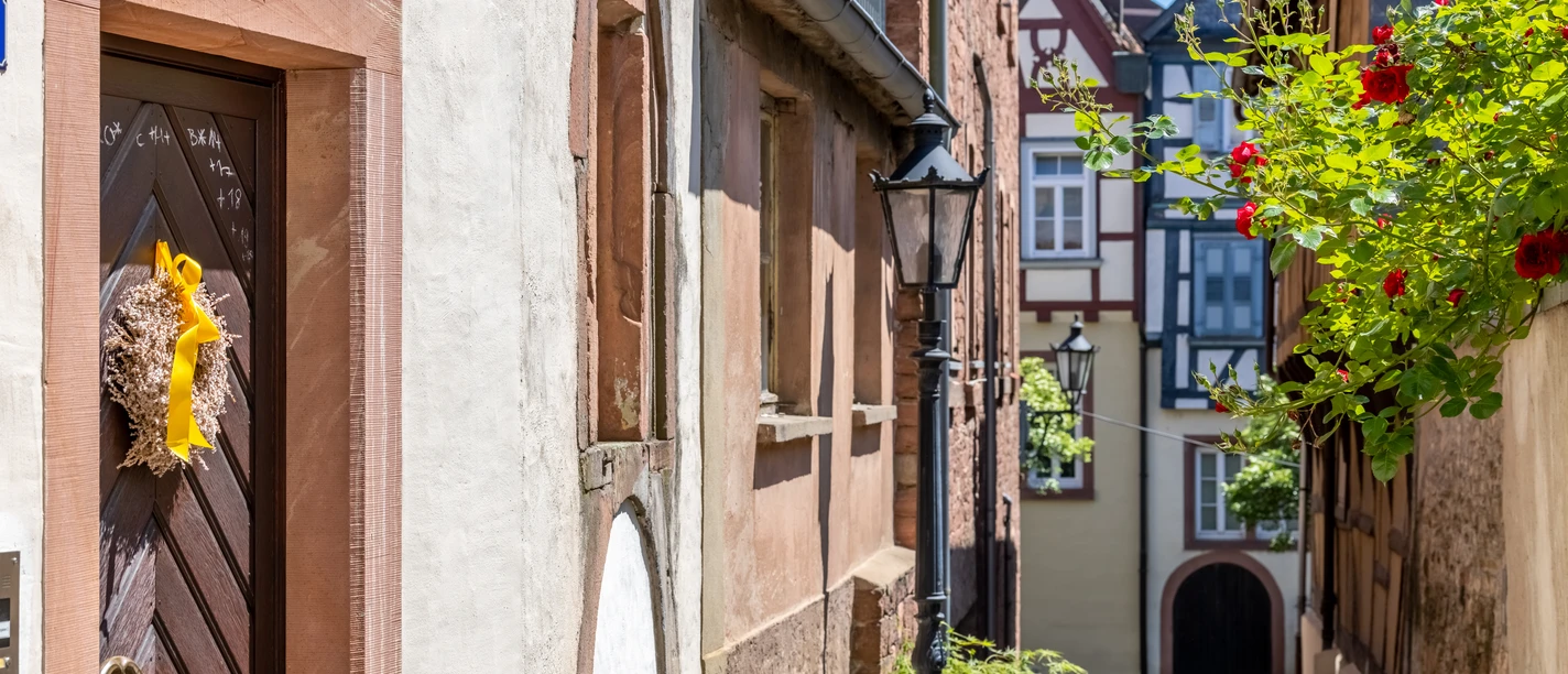 RheinMain Aschaffenburg Altstadt