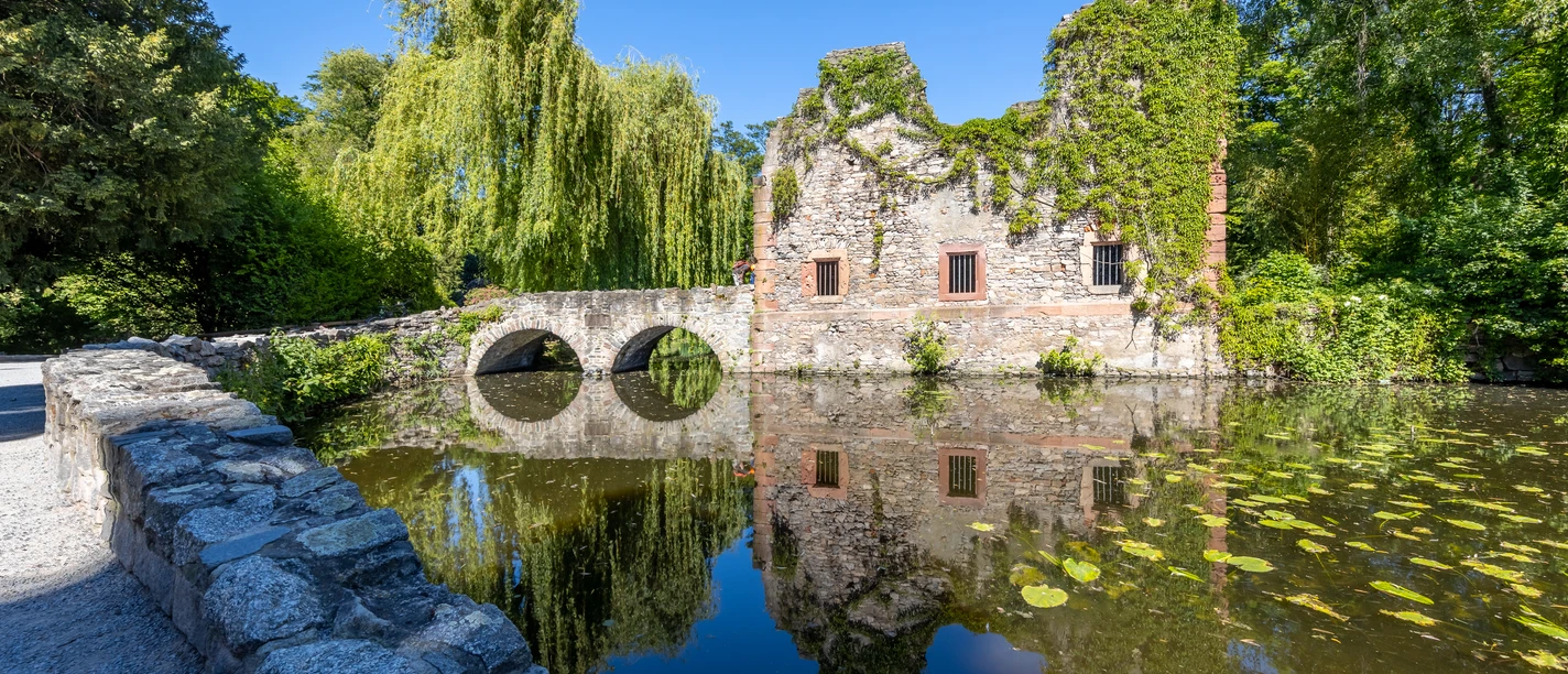 RheinMain Aschaffenburg Park Schöntal
