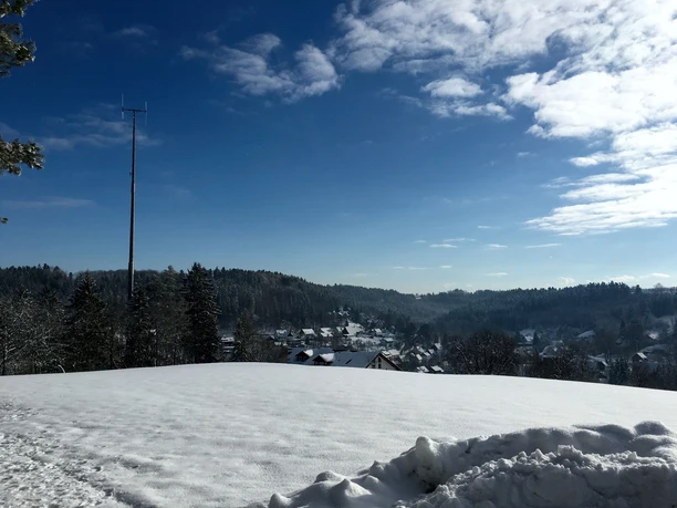 Blick ins Tal auf Betzweiler