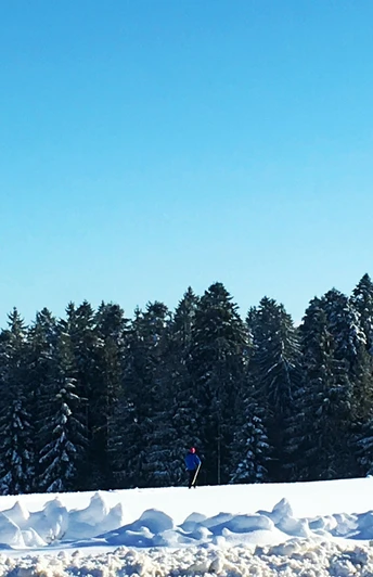 Winterlandschaft Loßburg