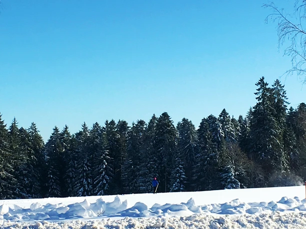 Winterlandschaft Loßburg