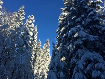 Winterlandschaft Loßburg