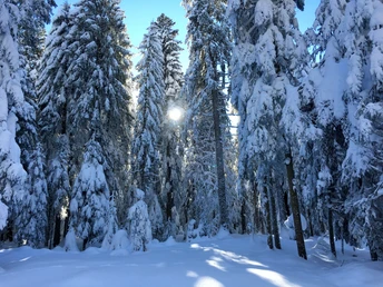 Winterlandschaft Loßburg