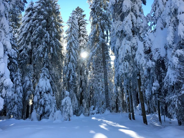 Winterlandschaft Loßburg
