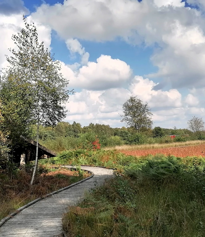 02 Spaziergang in der.....jpg