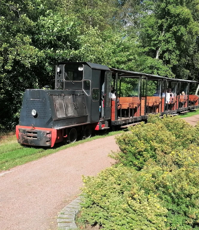 05 Die Feldbahn....jpg