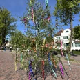 Maibaum auf dem Dorfplatz