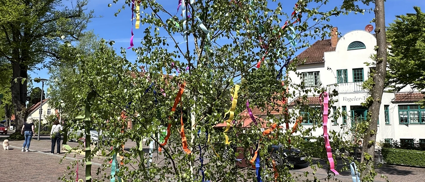 Maibaum auf dem Dorfplatz
