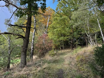 Traddelkopf-Locheichen-Route