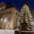 Weihnachtsmarkt Dommitzsch - Weihnachten in der Region Leipzig Ein festlich beleuchteter Weihnachtsbaum vor einem historischen Gebäude bei Nacht, mit Schneefall.