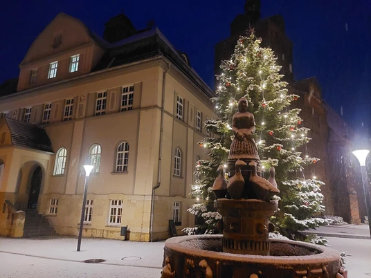 Weihnachtsmarkt Dommitzsch - Weihnachten in der Region Leipzig Ein festlich beleuchteter Weihnachtsbaum vor einem historischen Gebäude bei Nacht, mit Schneefall.