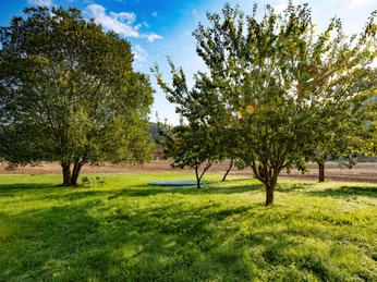 Trampolin und Garten zum Spielen