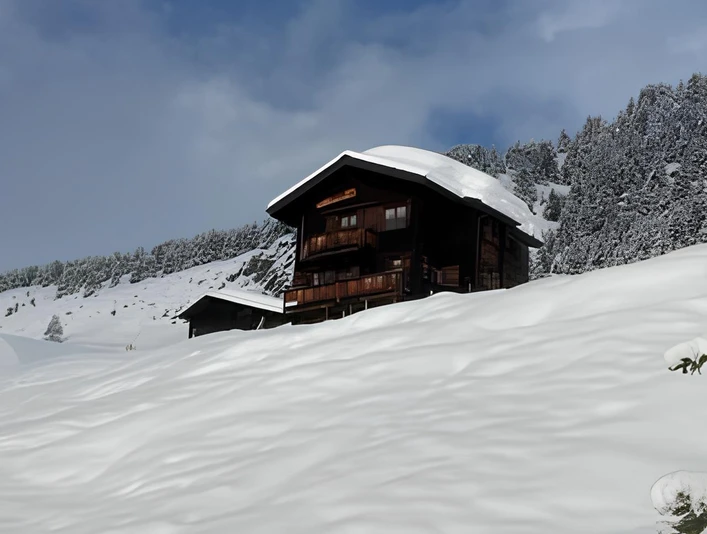 Bild Riederalp Winter