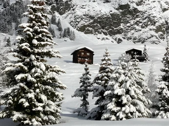 Bild Riederalp Winter 2