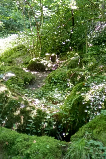 Am wilden Sasbach entlang über moosbewachsene Felsen