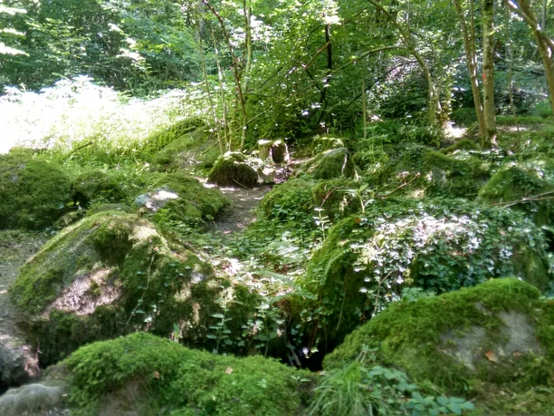 Am wilden Sasbach entlang über moosbewachsene Felsen