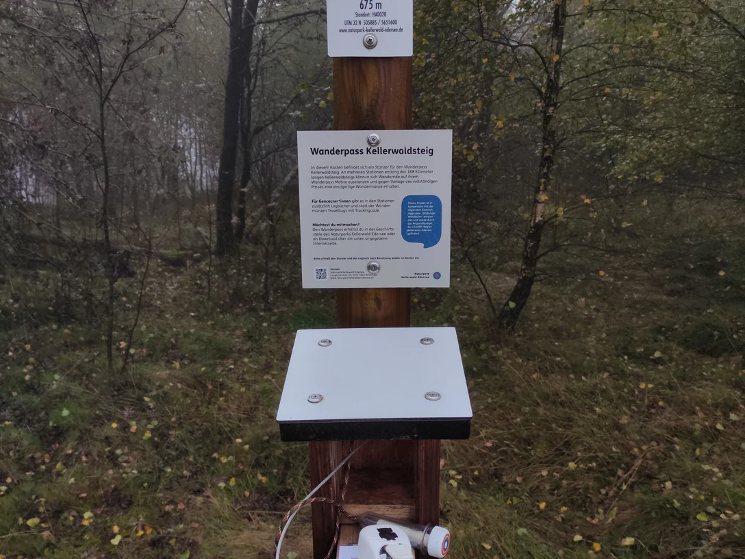 2025_10_05_Stanzstelle_Wüstegarten_(c)_Wildunger_Waldläufer (7).jpg