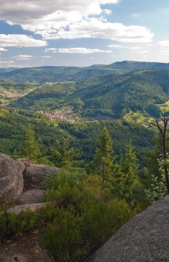 Blick ins Murgtal nahe Elsbethhütte